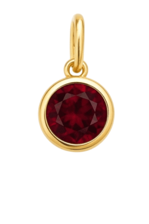 geboorte steentje Januari